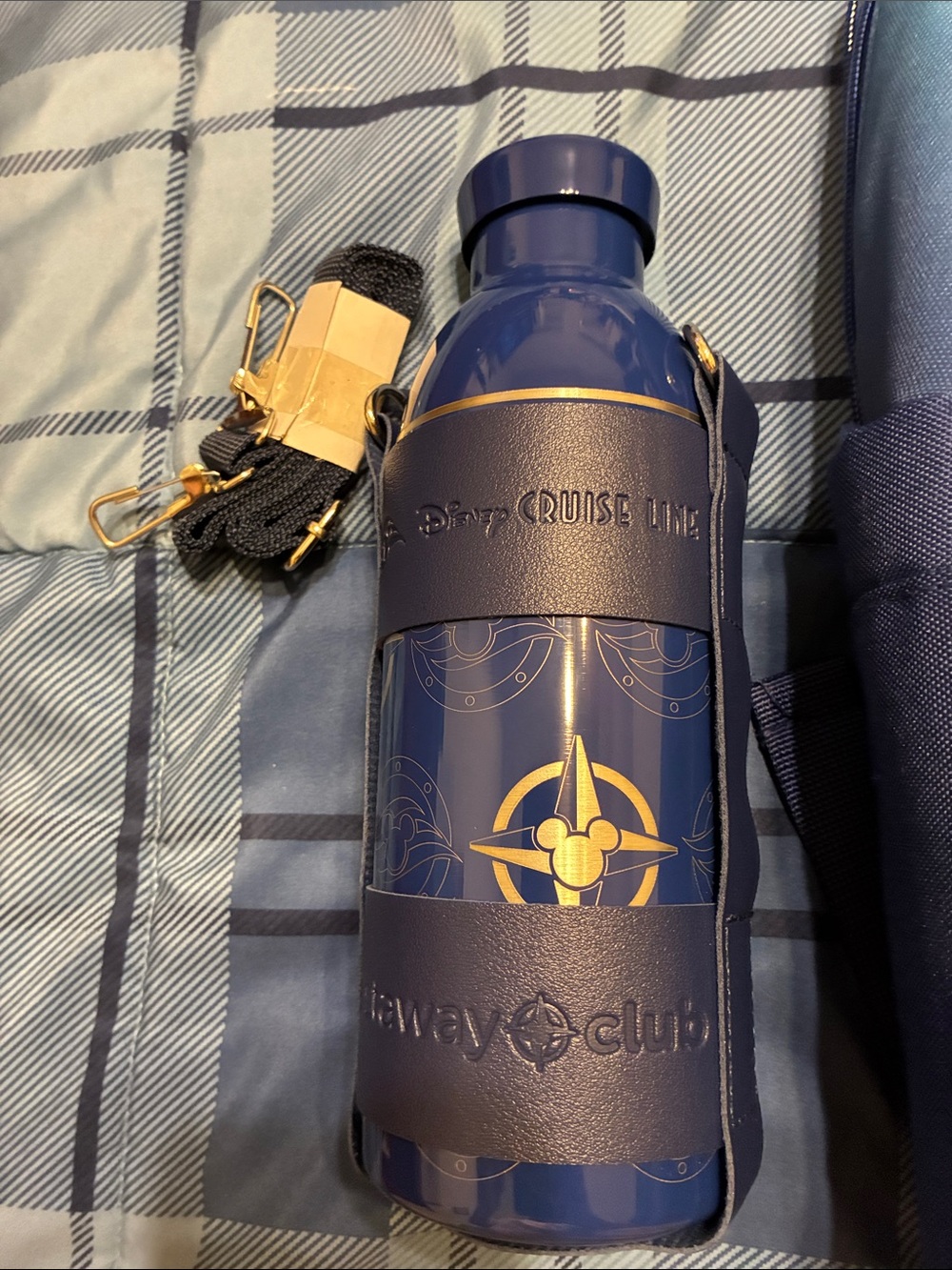 NWT Disney Cruise Line, Castaway Club, backpack, and water bottle - Picture 10 of 11